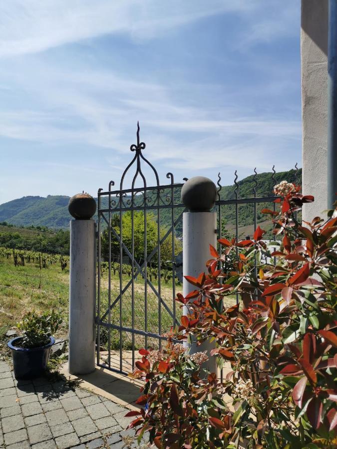 Weingut Amlinger&Sohn Apartment Neef Exterior photo